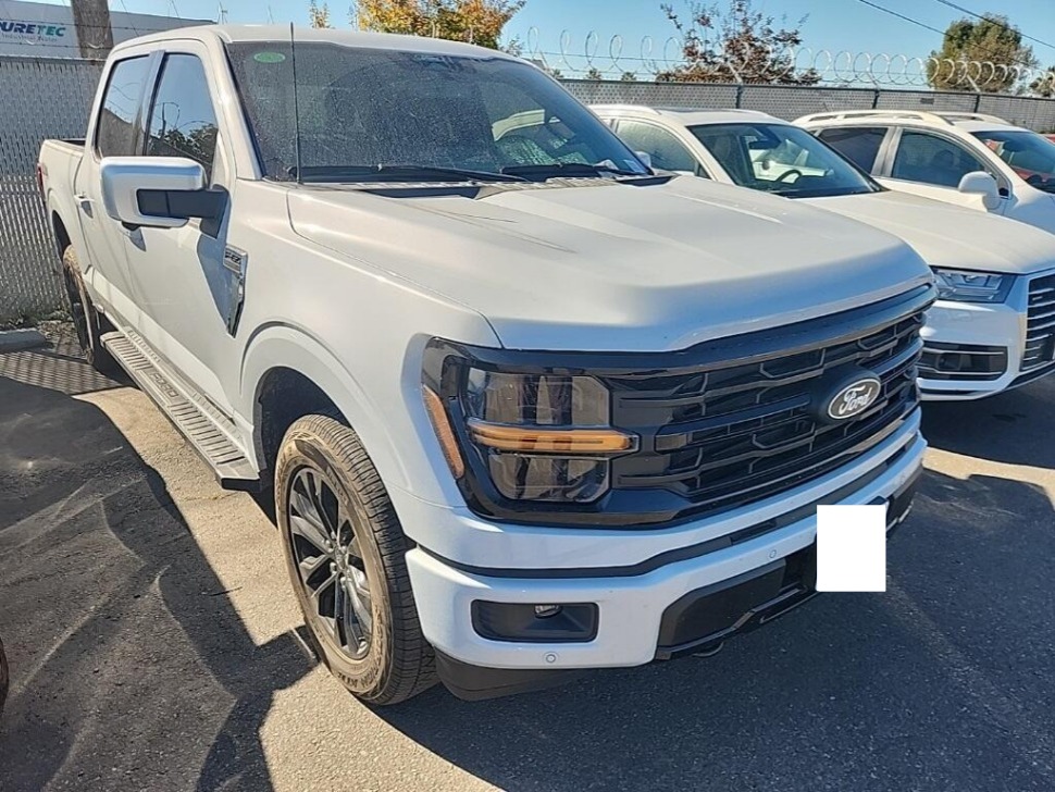 2025 Ford F-150 XLT's photo