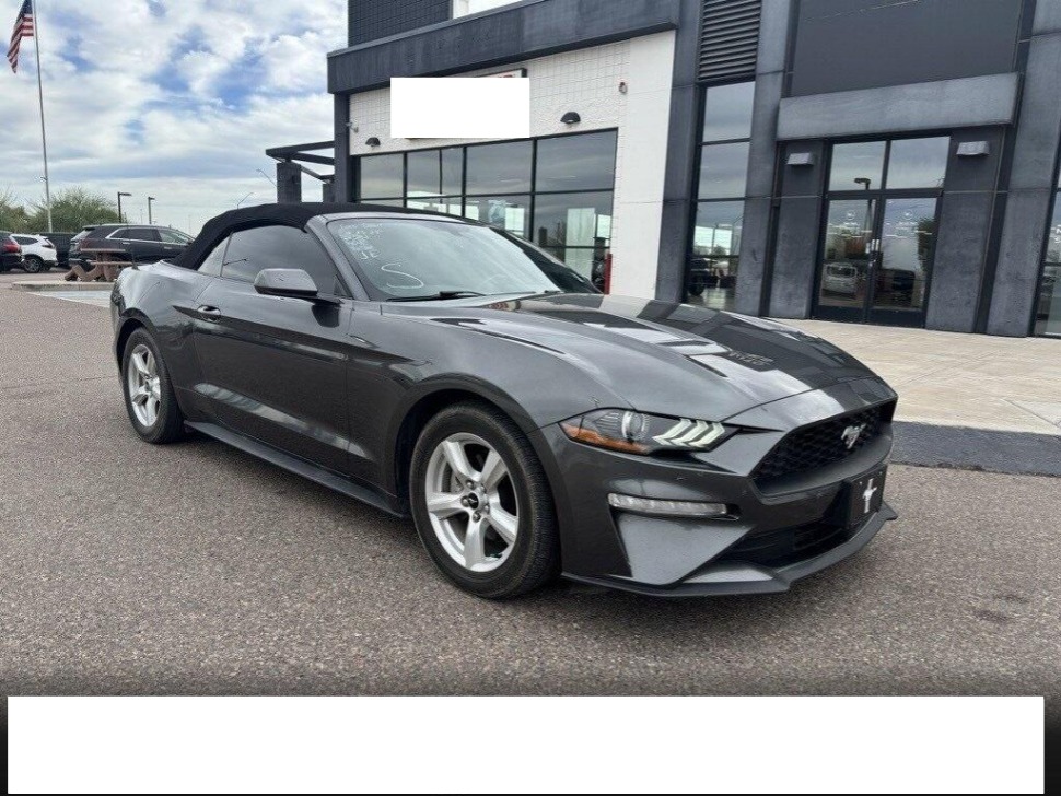 2019 Ford Mustang EcoBoost's photo