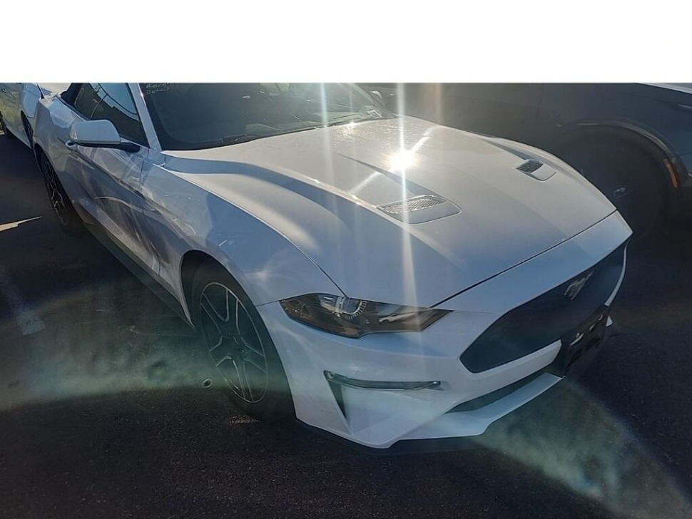 2022 Ford Mustang Mach 1's photo