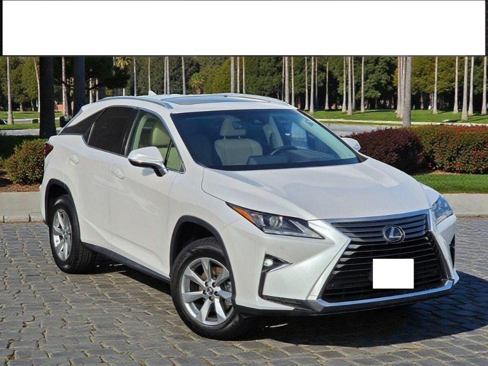 2019 Lexus RX 350's photo